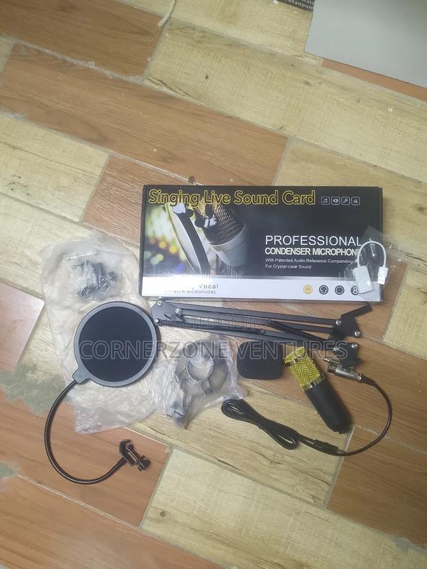 Professional Condenser Microphone - main view