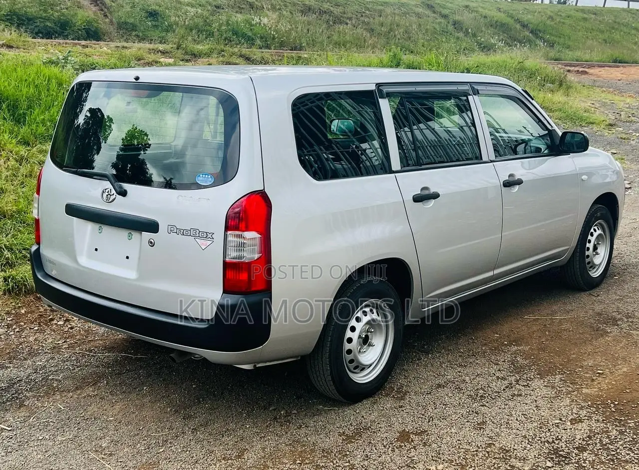 Toyota Probox 2019 Gray
