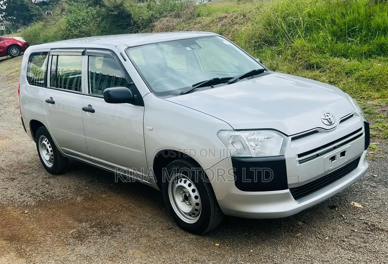 Toyota Probox 2019 Gray