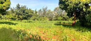 Two Acre for Sale in Kirinyaga Kimbimbi