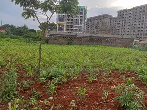 Commercial Plot on Sale at Ruiru