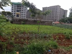 Commercial Plot on Sale at Ruiru