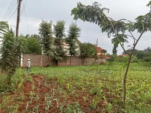 Commercial Plot on Sale at Ruiru