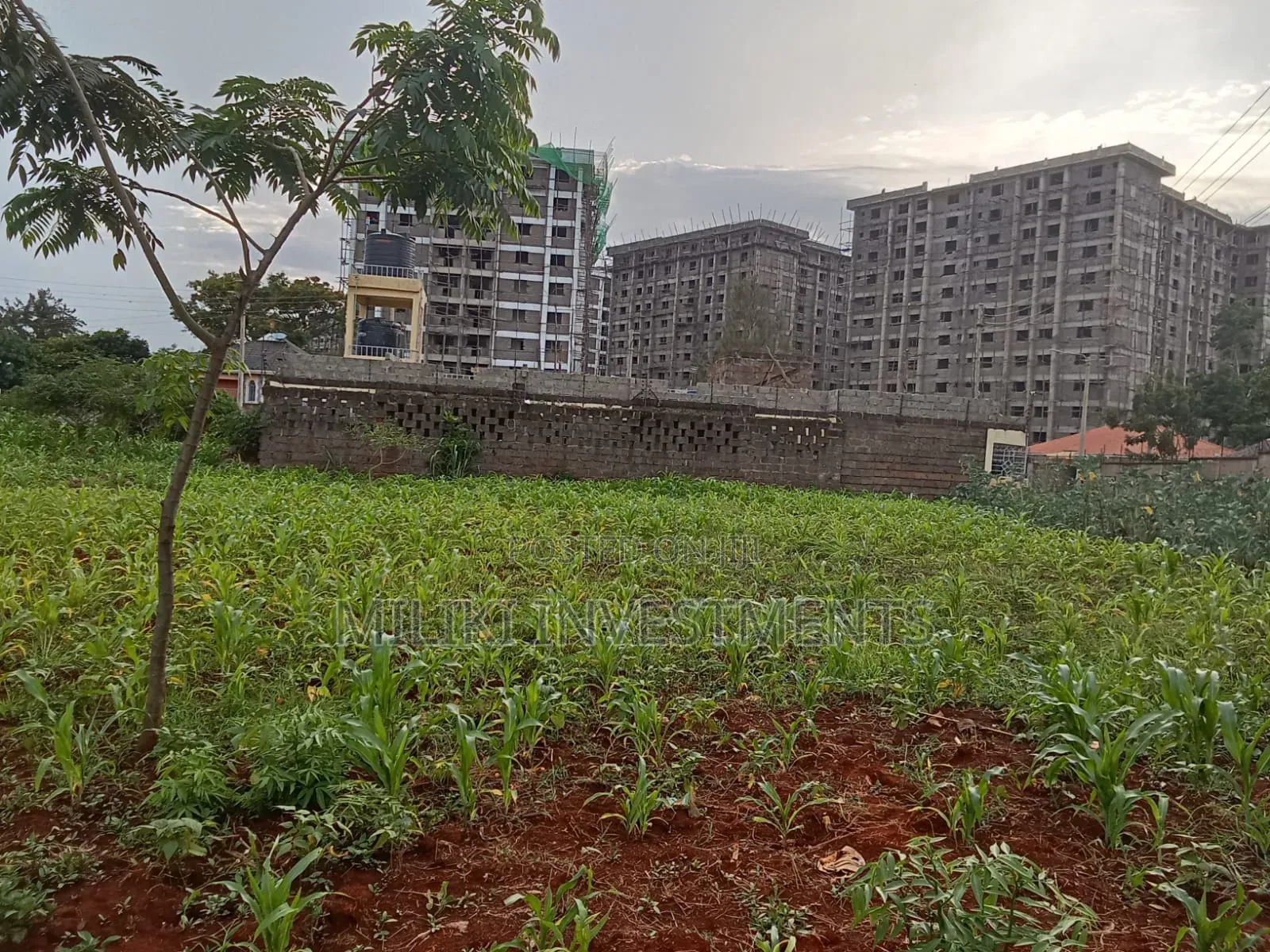 Commercial Plot on Sale at Ruiru