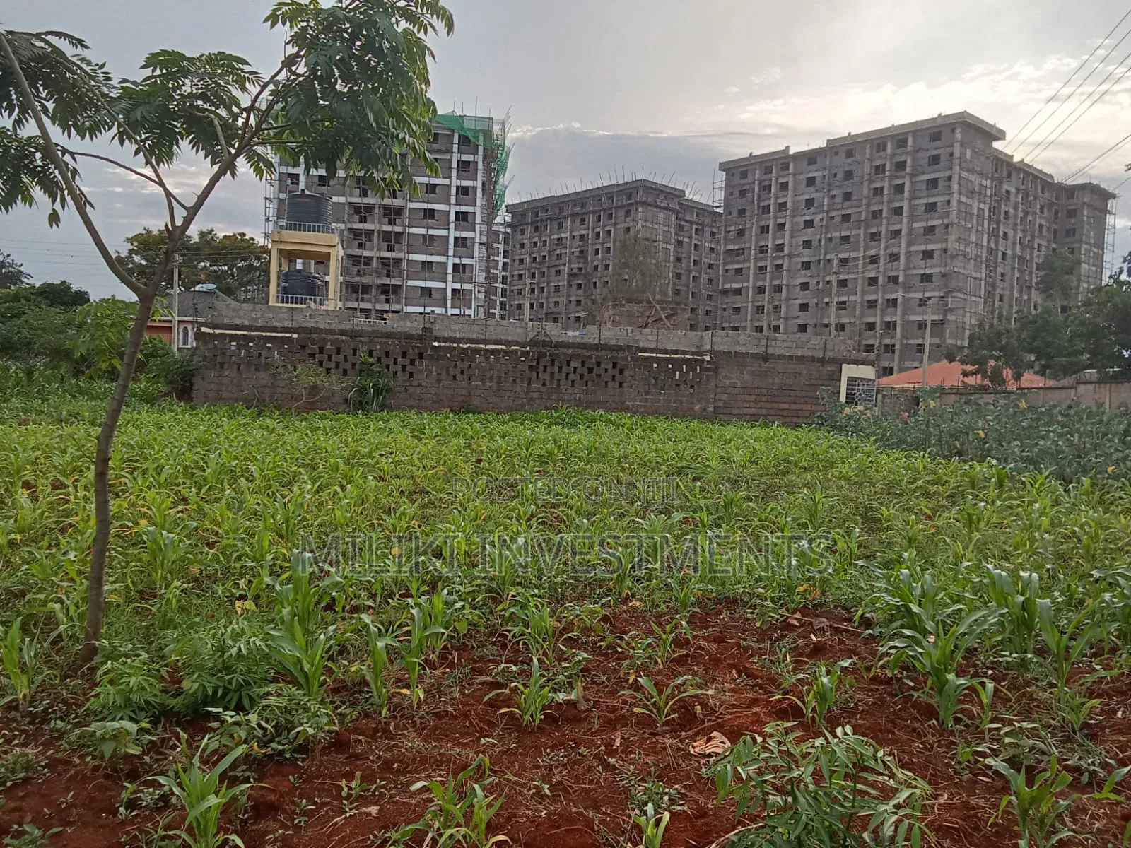 Commercial Plot on Sale at Ruiru