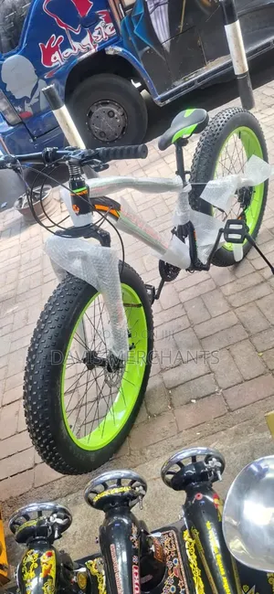 Fat Wheel Bike