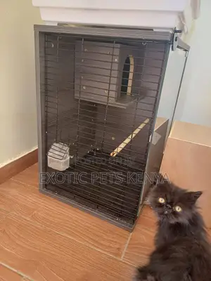 Bird Cage With Glass Door, Nest Shelf
