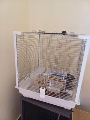 Imported Cage for Birds - thumbnail 2