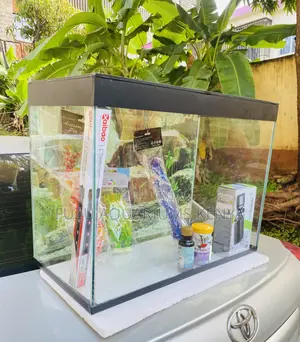 Complete Aquarium Set – Perfect Starter Kit for Fish Lovers
