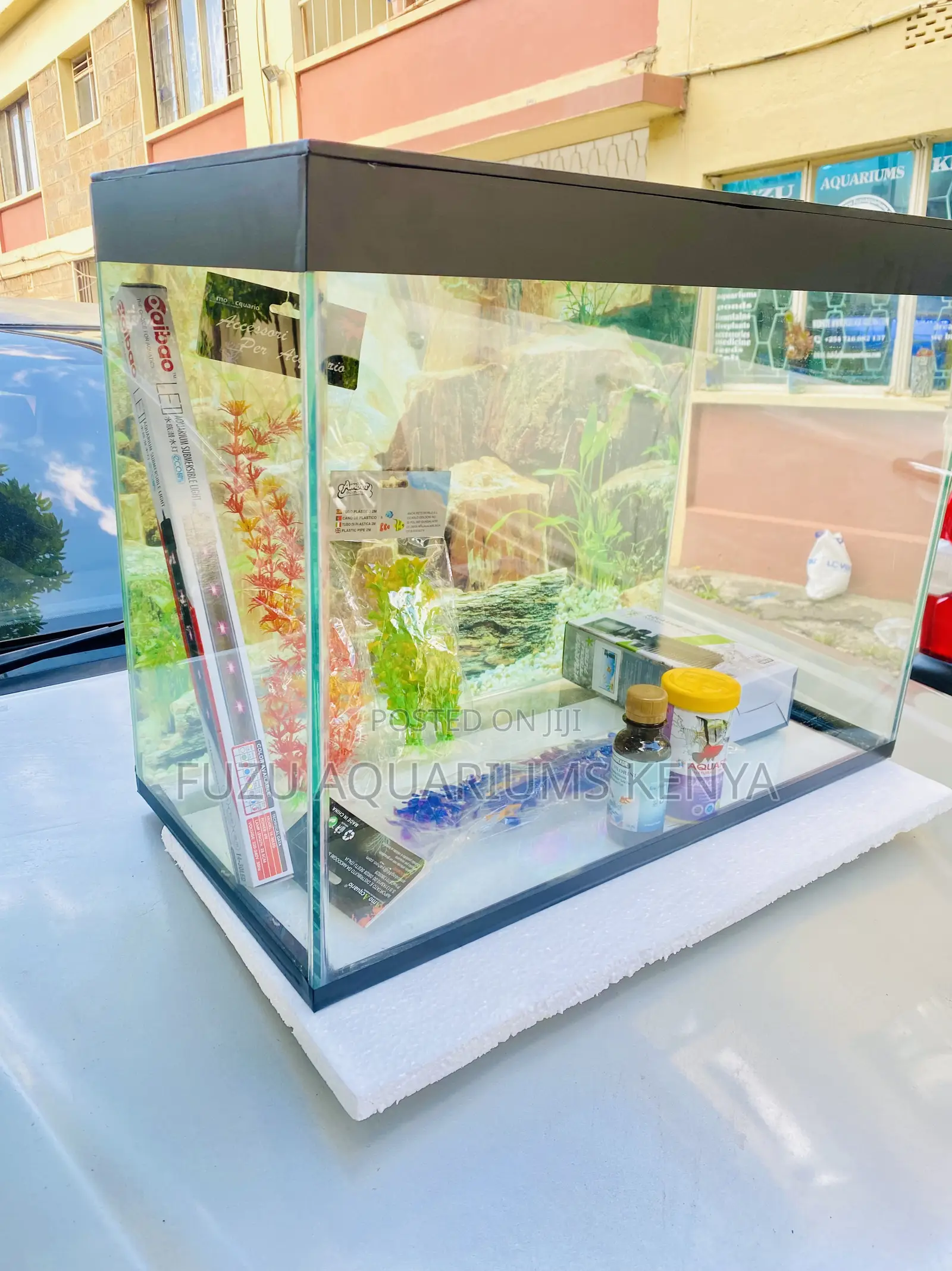 Modern Glass Aquarium – Stylish Ready-to-Use