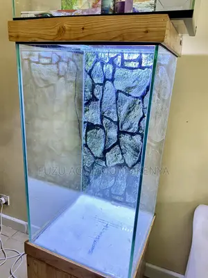 Premium Aquarium Package – Beauty Function in One