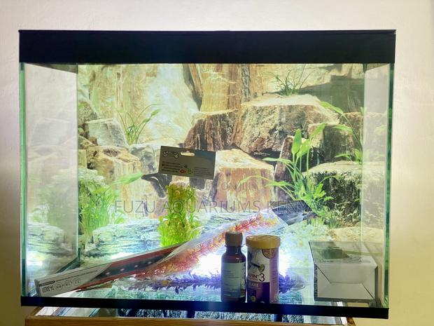 Aquarium Package – Beauty Function in One