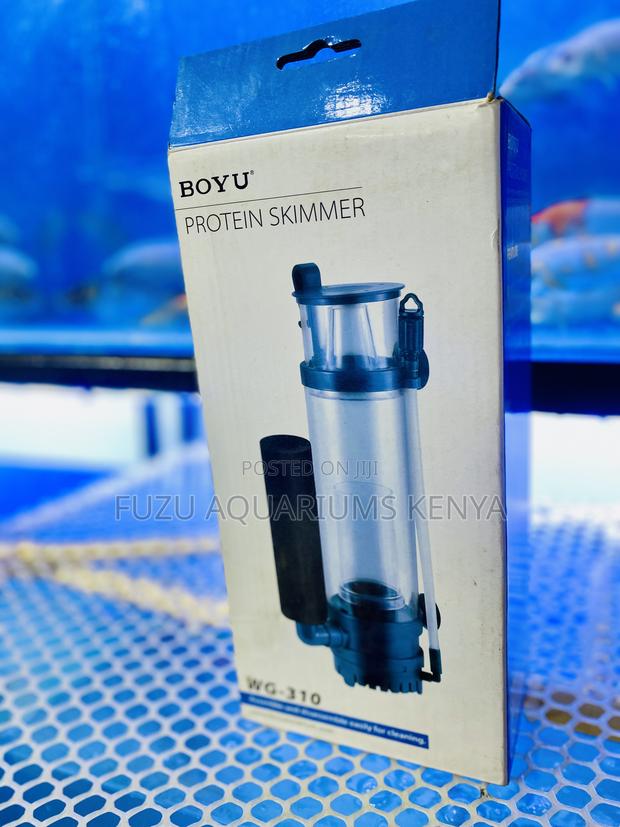 On Protein Skimmer – Easy to Install, Easy to Clean