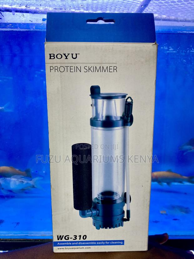 Budget-Friendly Protein Skimmer Clean Water at a Great Price