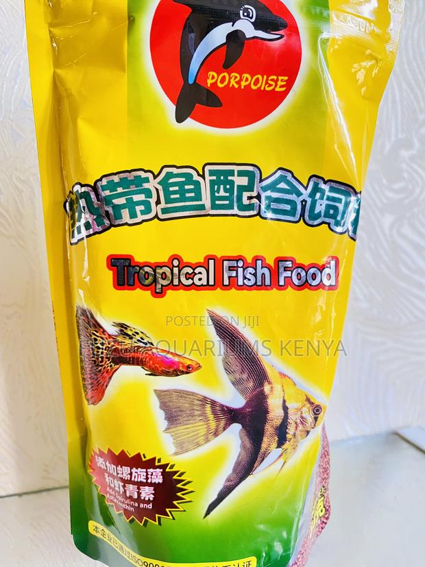 Vitamin-Enriched Fish Food – Immunity Energy Boost