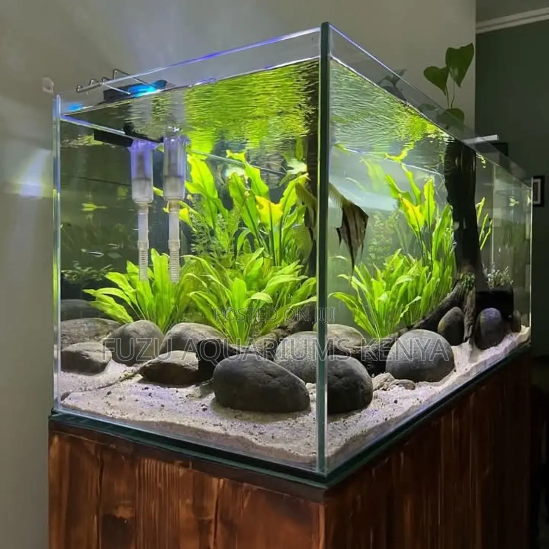 Tree of Life Aquarium – Aquascape With Living Ar