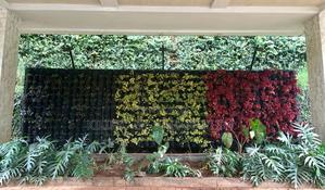 Vertical Live Walls Can Plant Vegetables / Herbs / Flowers - main view