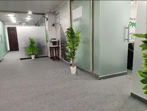 Green and Gentle Offices for Workers