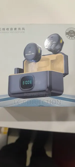 Portable Wireless Microphone