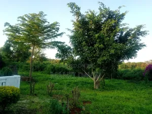 3bdrm House in Kavali Village, Kyuso for sale