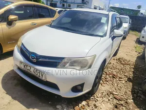 Toyota Corolla Fielder 2013 White