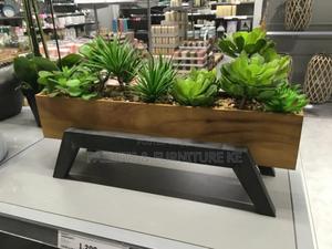 The Steel Sprout - thumbnail 2