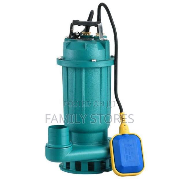 Electric Single Phase Shallow Well Submersible Pump - main view