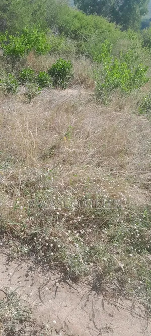 160 Acres Forsale in Matolani Baricho Good for Agricultural.
