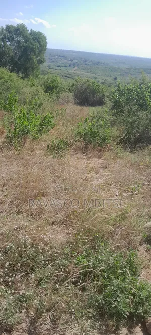 160 Acres Forsale in Matolani Baricho Good for Agricultural.