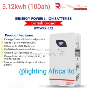 New Heavy Duty 5.12kwh (100ah) Renergy Lithium Ion Battery 6000 Cycle