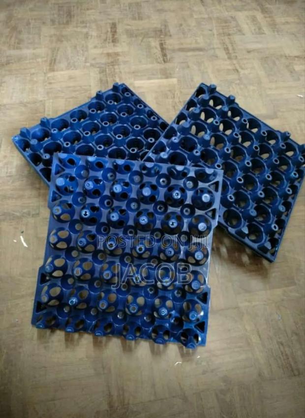 Plastic Egg Trays - main view
