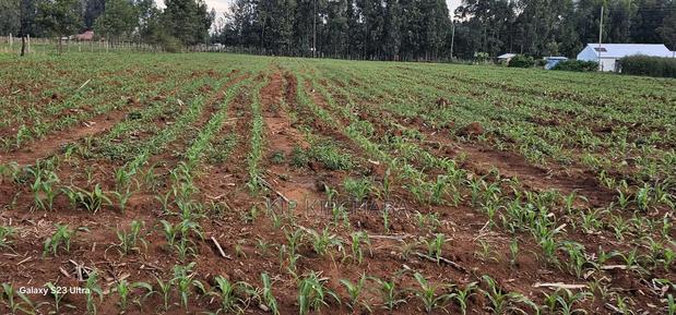 2 Acres for Sale in Say Eldoret - thumbnail 3