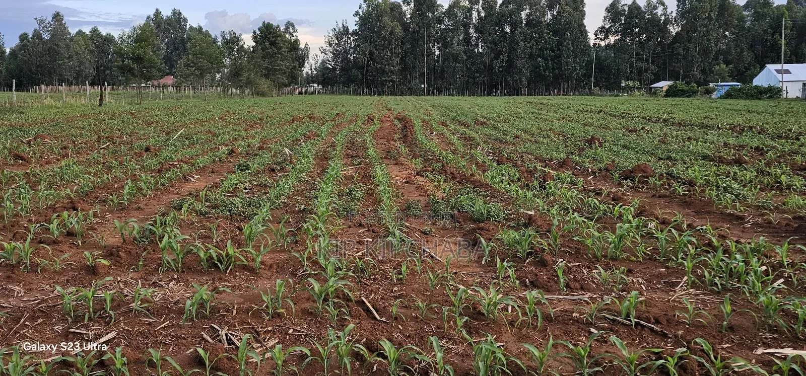 2 Acres for Sale in Say Eldoret