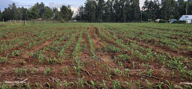 2 Acres for Sale in Say Eldoret - thumbnail 4