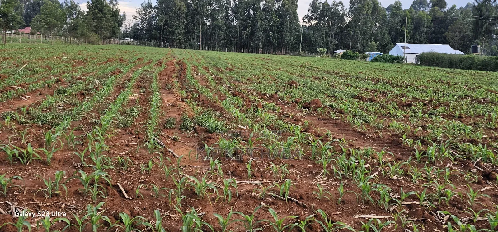 2 Acres for Sale in Say Eldoret