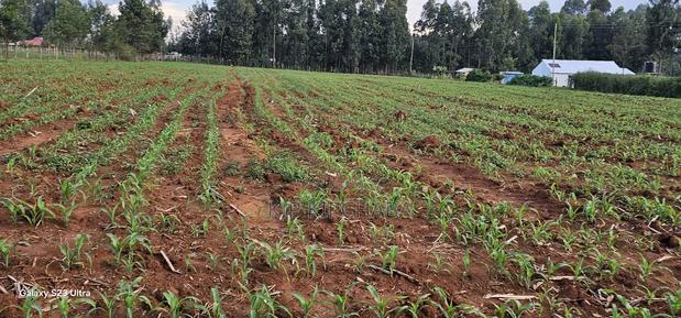2 Acres for Sale in Say Eldoret - thumbnail 6