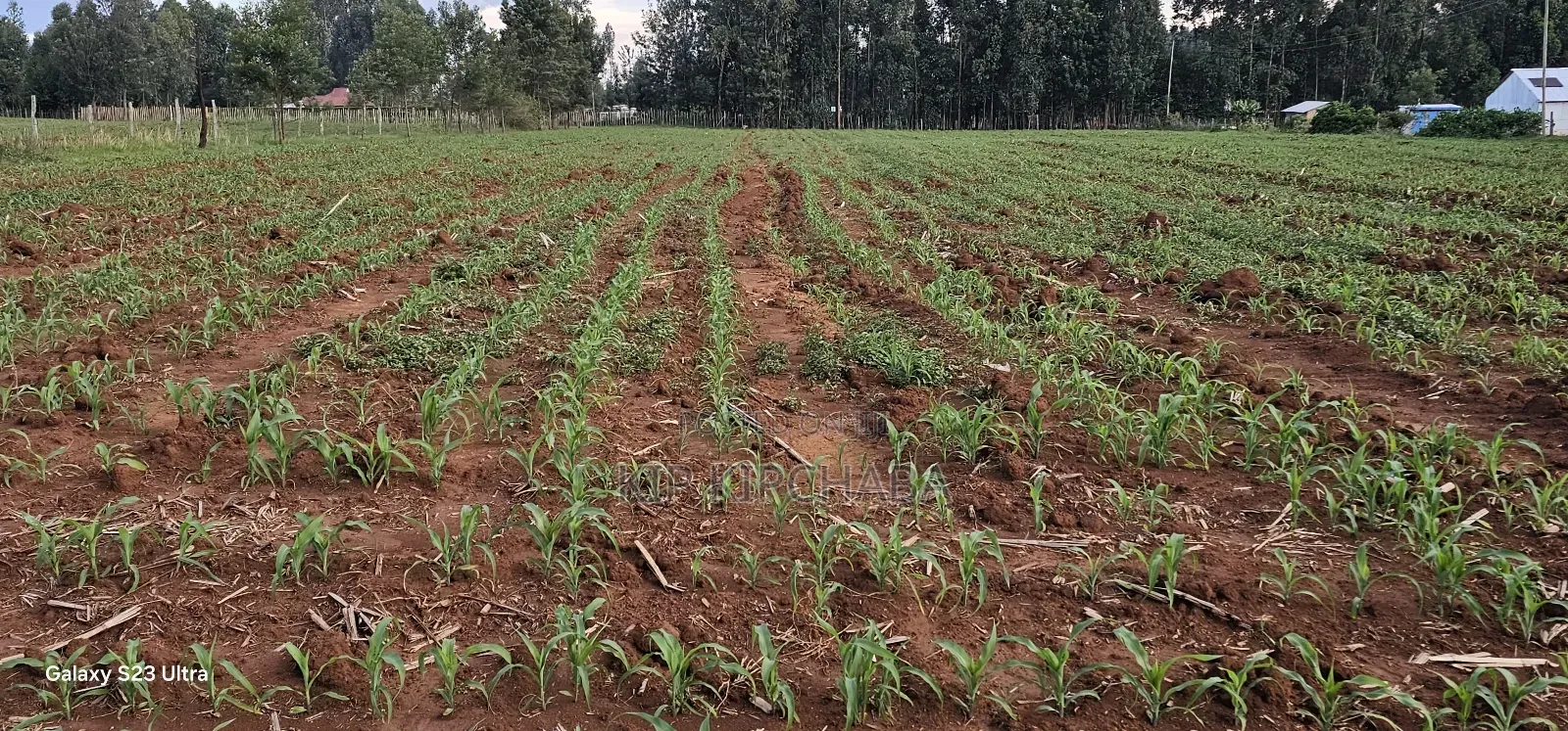 2 Acres for Sale in Say Eldoret