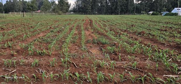 2 Acres for Sale in Say Eldoret - thumbnail 7