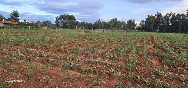2 Acres for Sale in Say Eldoret - thumbnail 8