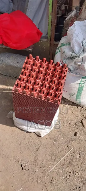 Plastic Egg Trays