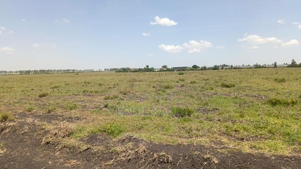 Saju Plains Kitengela - thumbnail 2