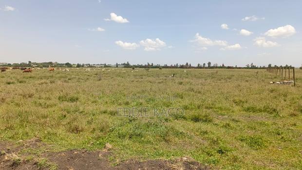 Saju Plains Kitengela - thumbnail 4