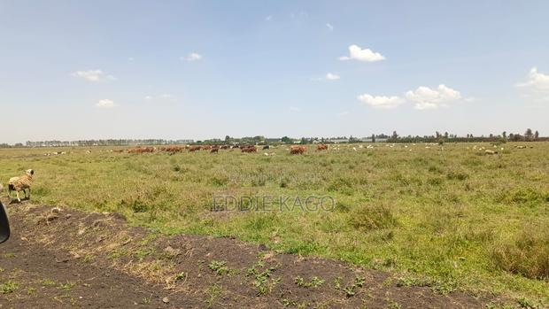 Saju Plains Kitengela - thumbnail 5