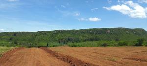 Affordable Nachu Plots at Ksh700k - thumbnail 2