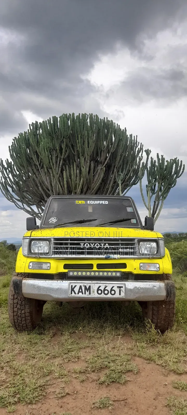 Toyota Land Cruiser Prado 3.0 D 1990 Yellow