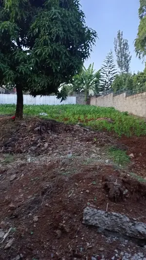 Prime Commercial Plot 1/4 Acre, Kiamumbi
