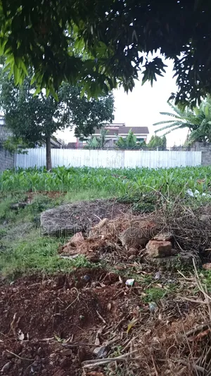Prime Commercial Plot 1/4 Acre, Kiamumbi