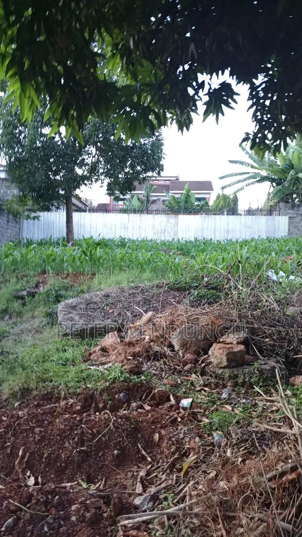 Prime Commercial Plot 1/4 Acre, Kiamumbi - thumbnail 3