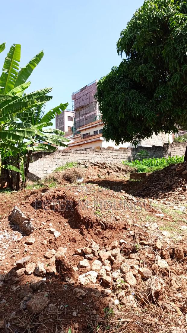 Prime Commercial Plot 1/4 Acre, Kiamumbi - thumbnail 6