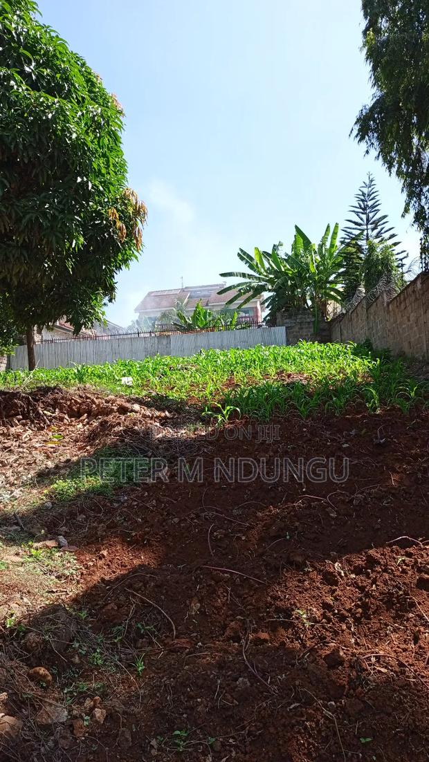 Prime Commercial Plot 1/4 Acre, Kiamumbi - thumbnail 8